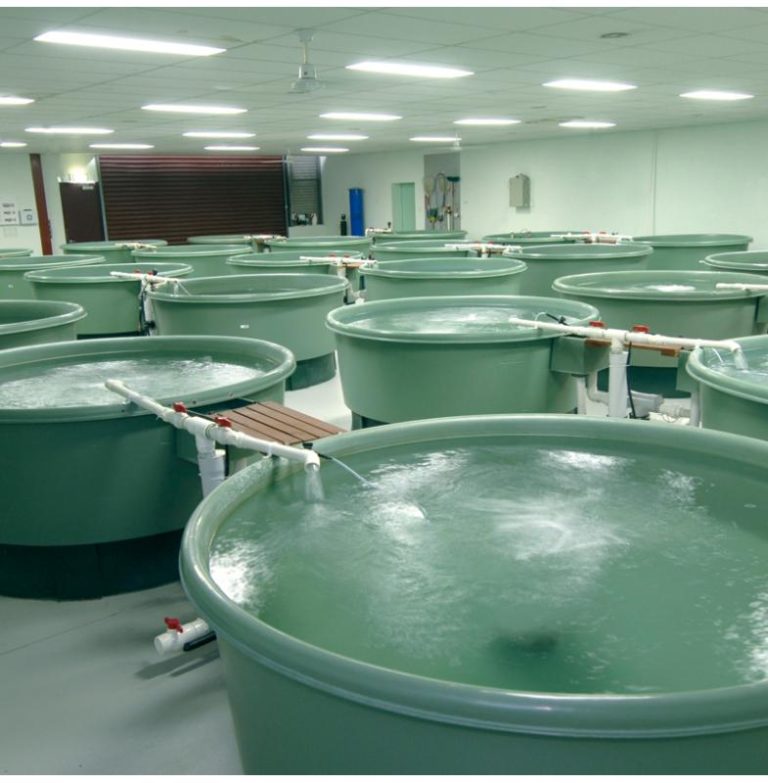9000L Fish Farm Tanks Food Grade, Virgin Polyethylene Polymaster