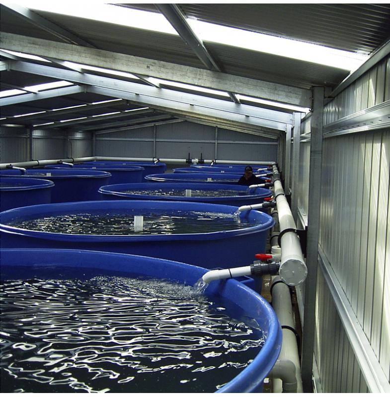 9000L Fish Farm Tanks Food Grade, Virgin Polyethylene Polymaster