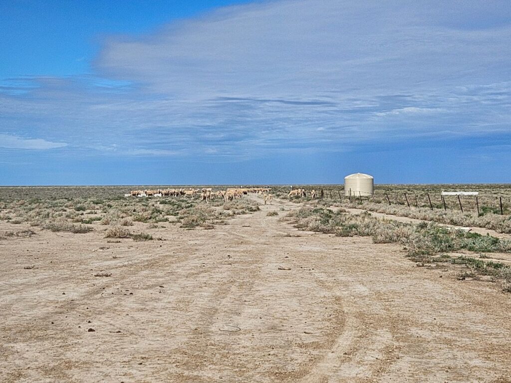 bore water tanks