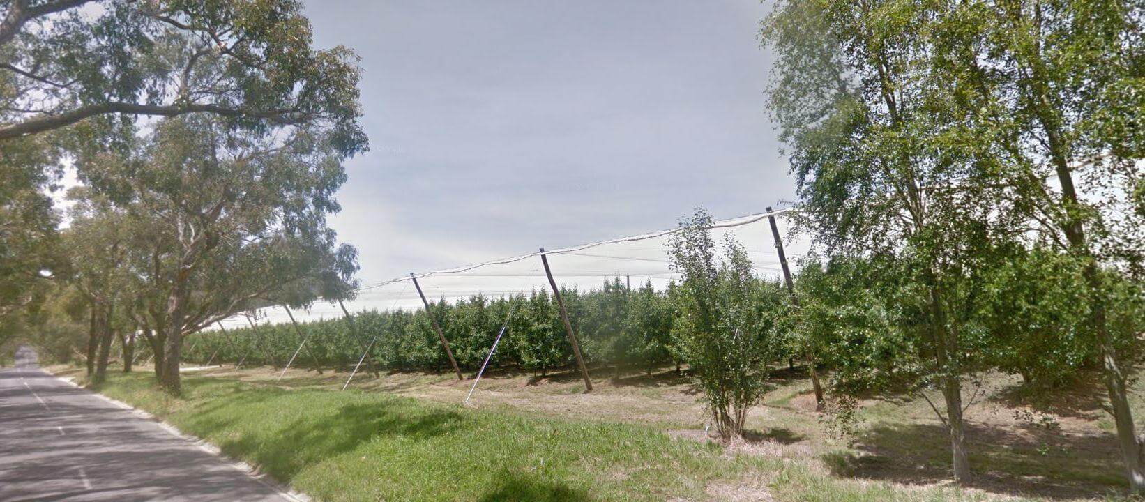 Image of brookeshill orchards from the hi-way