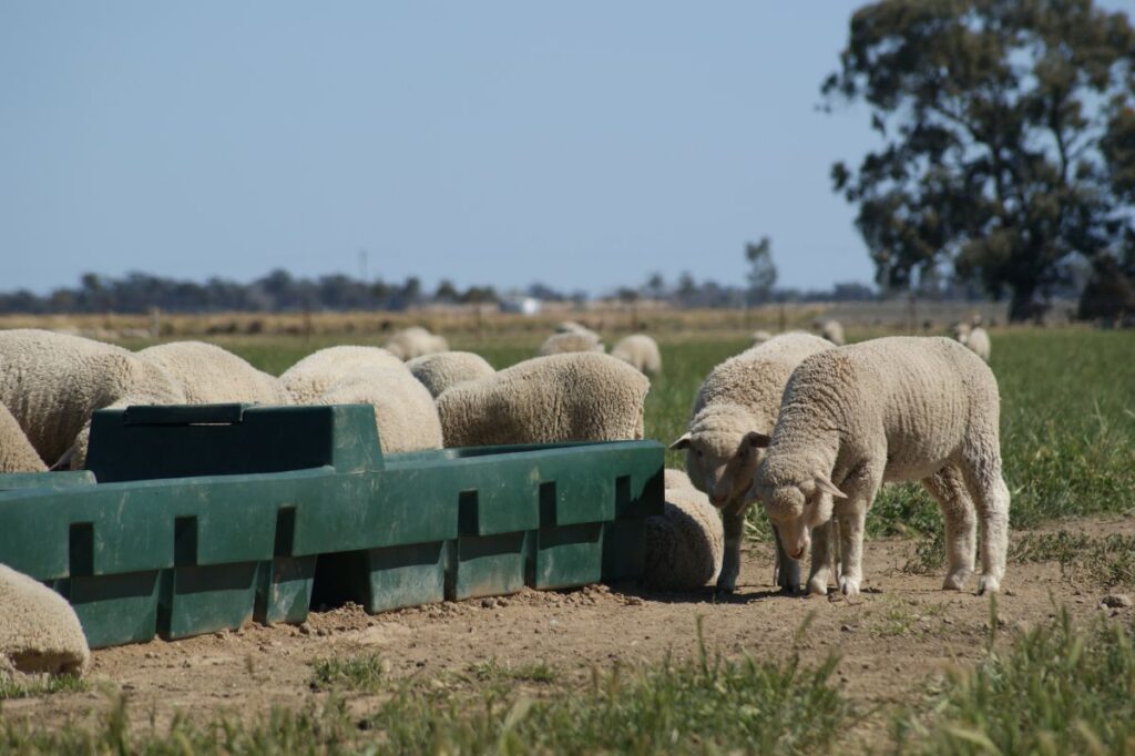 Troughs