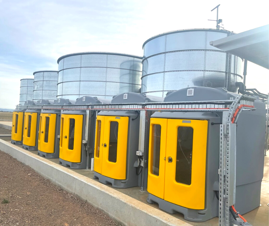 Six Enclosed IBC Bund installed outdoor in an industrial setting
