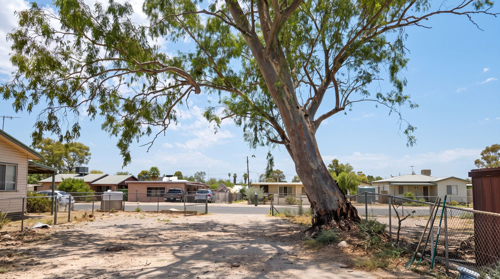 overhanging trees over driveway