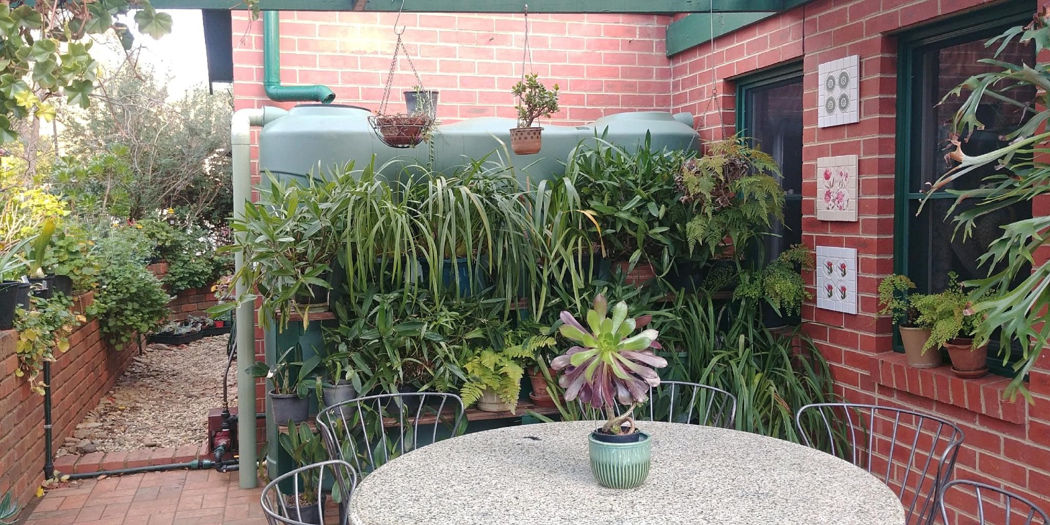Polymaster slimline water tank concealed by plants in yard