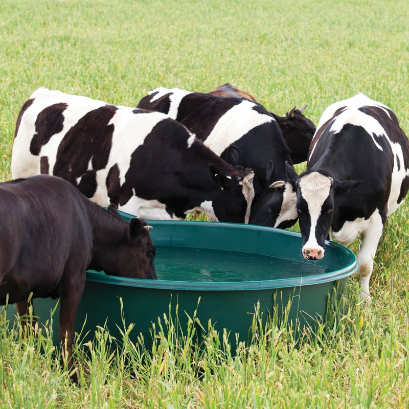 Round Water Trough