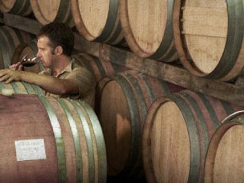 Petaluma Winery barrels