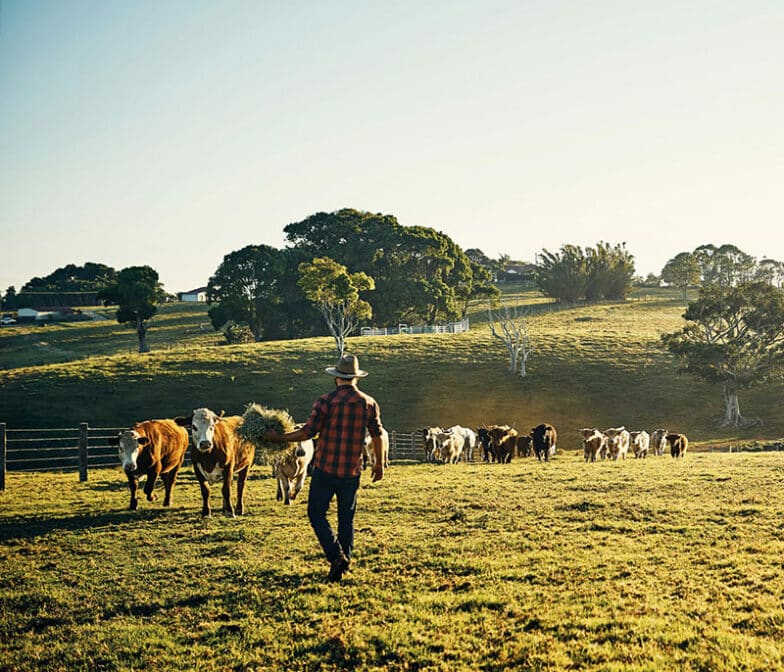 polymaster-agriculture-cattle-784x672