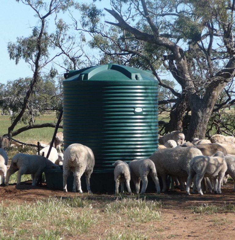Stock Water Trough