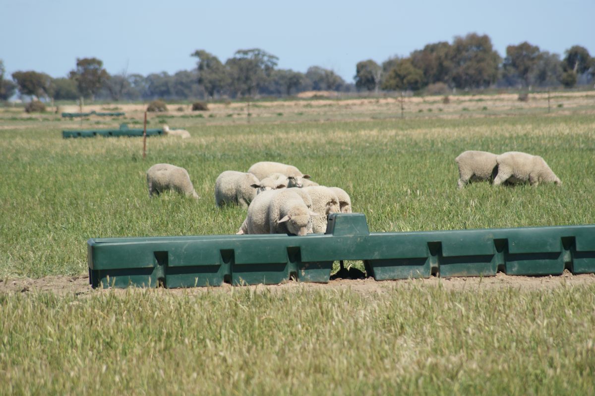 Long Trough