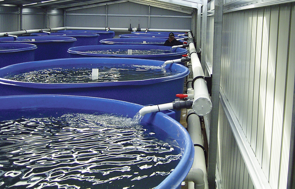 Aquaculture