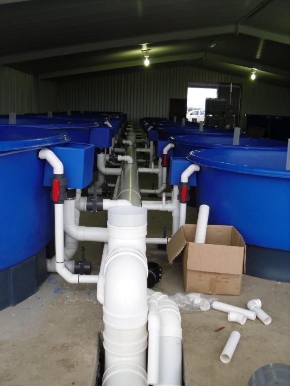 Fresh by design fish tanks