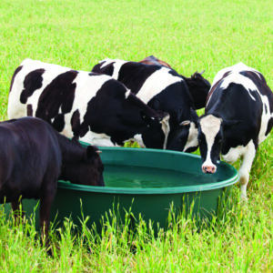 Round Water Trough