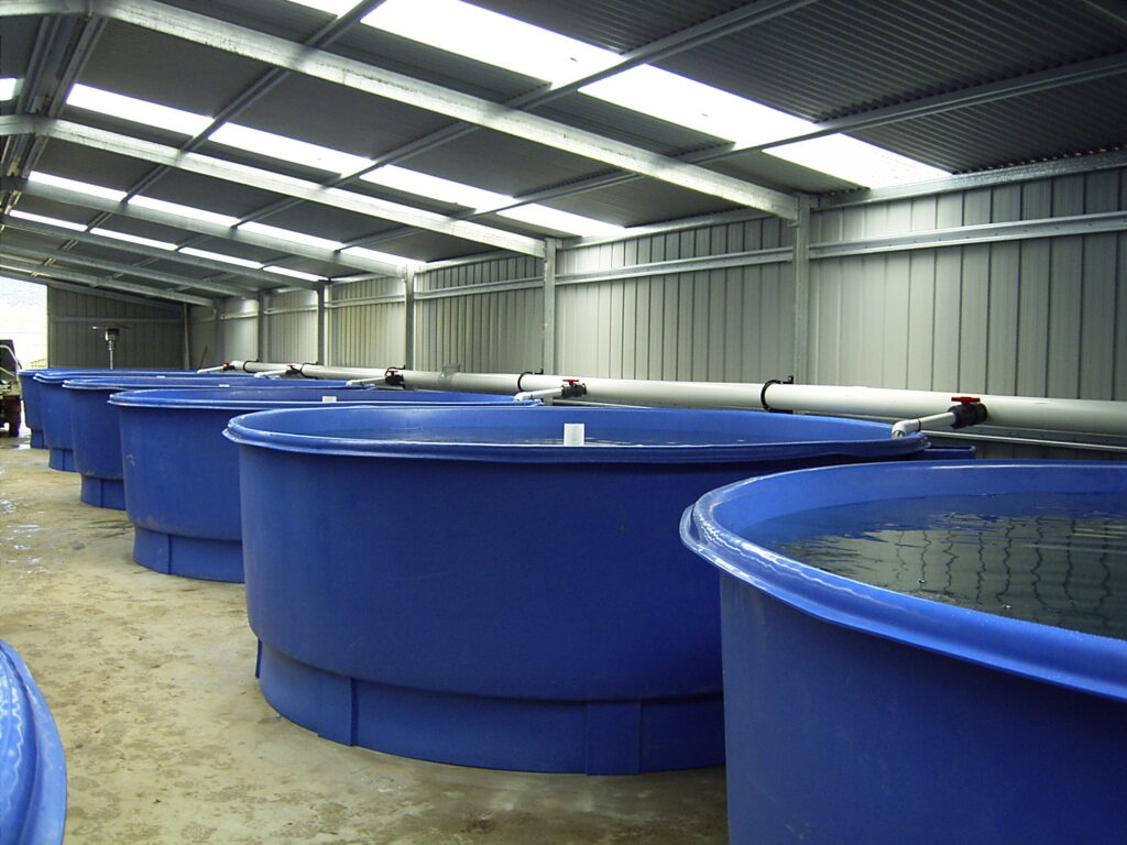 Aquaculture