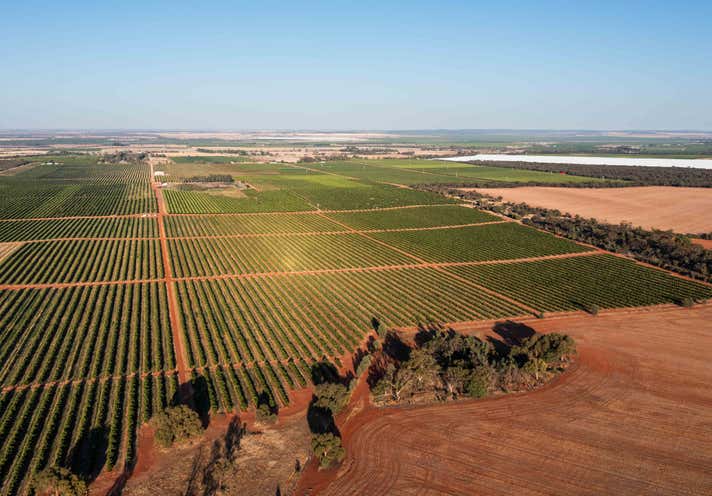 Pipeline Farm