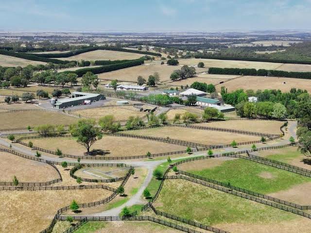 Horse Farm